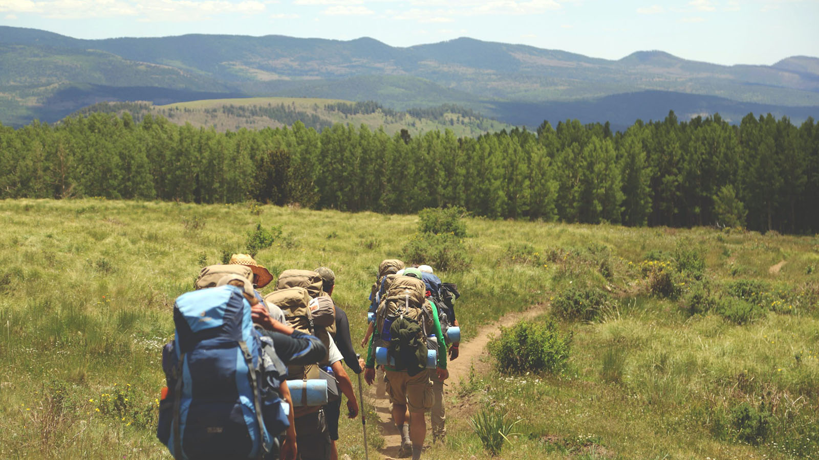Backpacking through a field