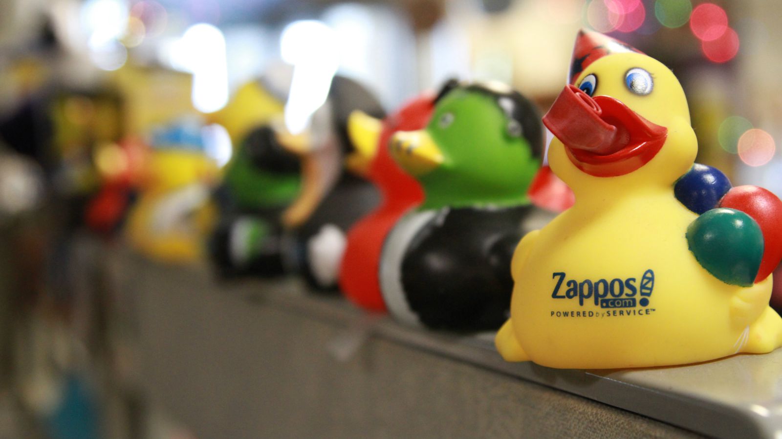 Rubber ducks on a row