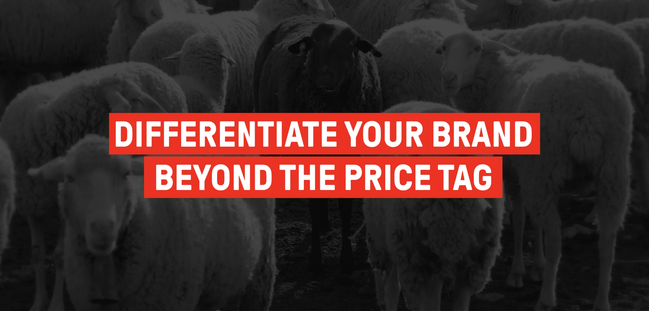 Differentiate Your B2B Brand from Competitors